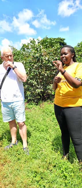 FAIRVIEW COFFEE FARM DAY TOUR - Is $82 a fair price?