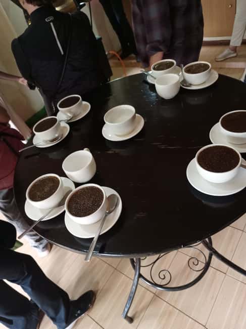 FAIRVIEW COFFEE FARM DAY TOUR - Choosing between the 10 a.m. and 2 p.m. visits