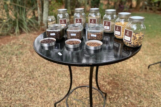 Fairview Estate Coffee Farm Tour With Pick up - Freshly brewed Fairview coffee and snacks