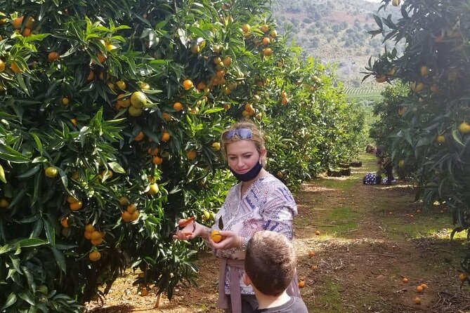 Family Mandarin Farming Tour with Traditional Cooking Lunch - Timing, weather, and practical comfort