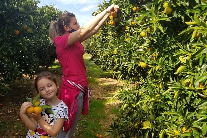 Family Mandarin Farming Tour with Traditional Cooking Lunch - Who will enjoy this farm experience most