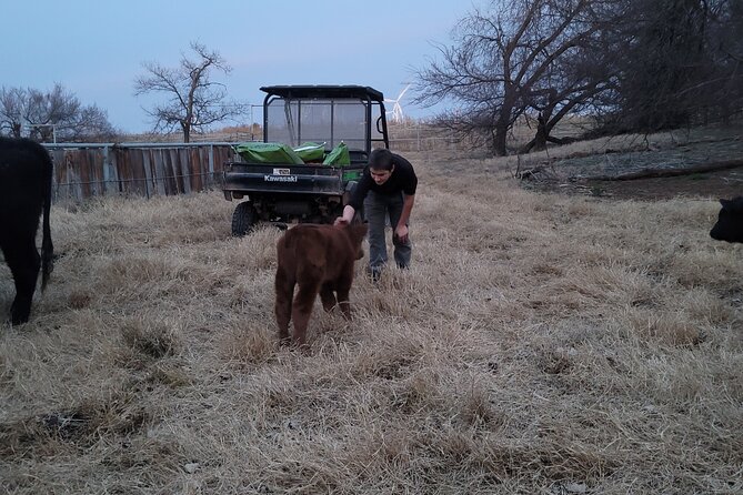 Farm Adventure Experience in Red Hill Ranch - Key things to know about Red Hill Ranch