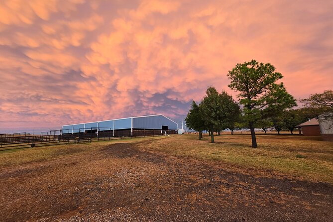 Farm Adventure Experience in Red Hill Ranch - Ranch food, snacks, and what is actually included