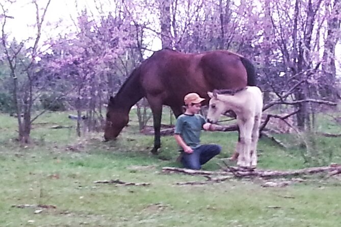 Farm Adventure Experience in Red Hill Ranch - Who will enjoy this ranch experience most?