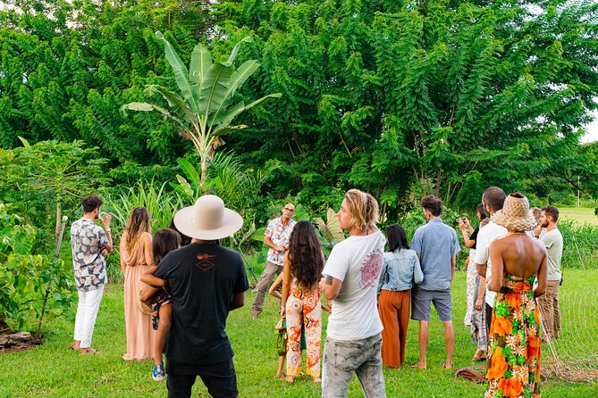 Farm and Food Experience in Kilauea - Walking through Common Ground’s food forest