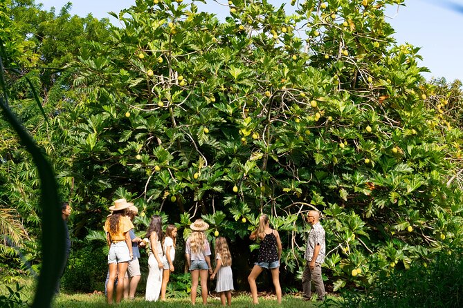 Farm and Food Experience in Kilauea - A relaxed setting for families and friends