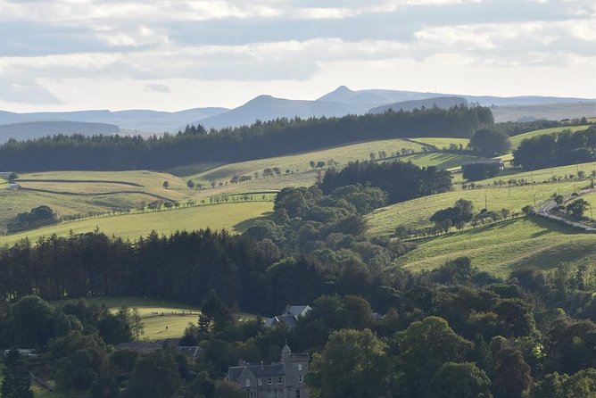Farm Attraction - Highland Cows, Animal Feeding, Wholesome fun! - A self-led route with plenty to notice