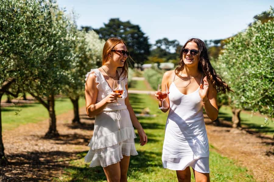 Farm Picnic for 2 adults - A farm picnic among olives, vines, and ducks