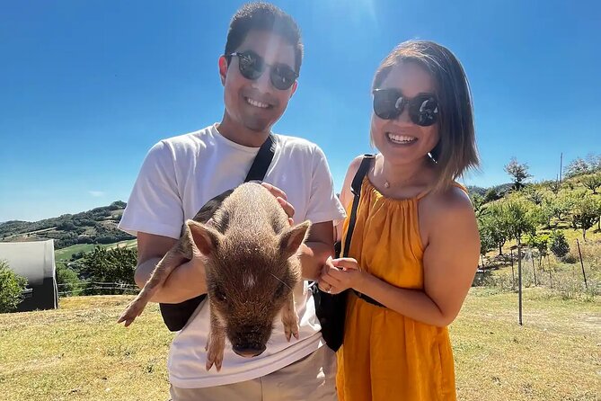 FARM STAY EXPERIENCE & DOZZA - Private Day Tour From Bologna - What the $472.21 Price Means