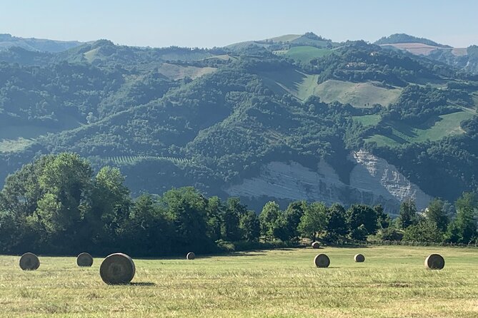 FARM STAY EXPERIENCE & DOZZA - Private Day Tour From Bologna - Timing, Pickup, and Practical Notes