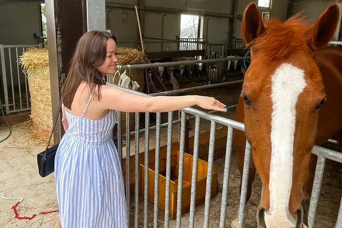 FARM STAY EXPERIENCE & DOZZA - Private Day Tour From Bologna - Who Should Book This Farm and Dozza Day
