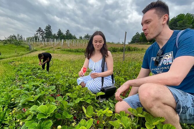 FARM STAY EXPERIENCE & DOZZA - Private Day Tour From Bologna - A Family Farm Near Fontanelice