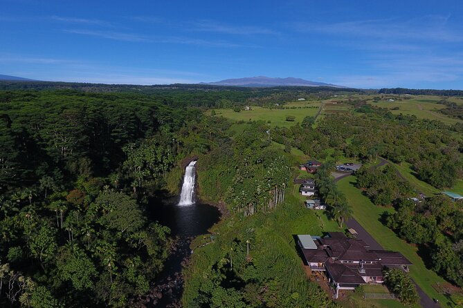 Farm to Table Cooking Class at Kulaniapia Falls - The waterfall, views, and extra farm details