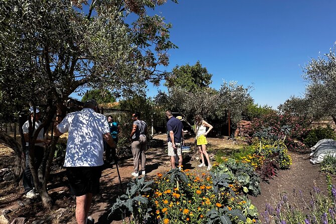 Farm to Table Cooking Experience in San Miguel - A 9:00 am Start With Pickup in San Miguel