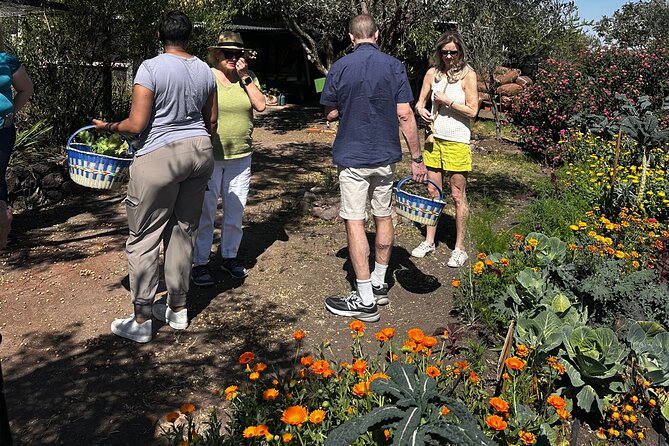 Farm to Table Cooking Experience in San Miguel - Why the Private Format Matters