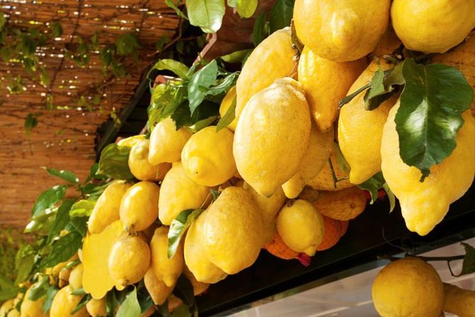 Farm-to-Table Experience: Olive Oil, Garden Tour & Nonna’s Lunch - What lunch is really like at Nonna’s table