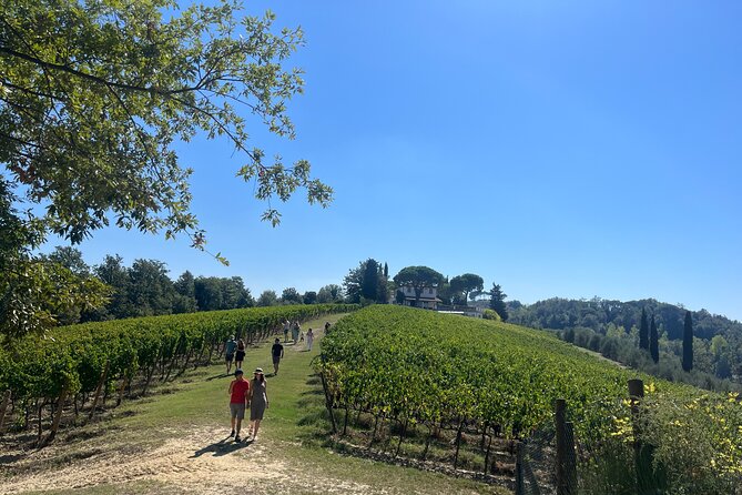 Farm To table Experience on an organic hilltop estate in Tuscany - A Tuscan farm day with a personal welcome