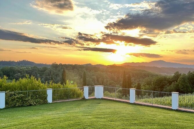 Farm To table Experience on an organic hilltop estate in Tuscany - Cooking lunch instead of watching from the sidelines