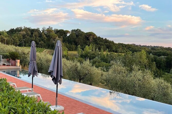 Farm To table Experience on an organic hilltop estate in Tuscany - Three courses, olive oil, wine, and limoncello