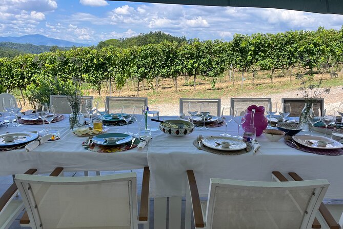 Farm To table Experience on an organic hilltop estate in Tuscany - Is the $193.50 price good value?