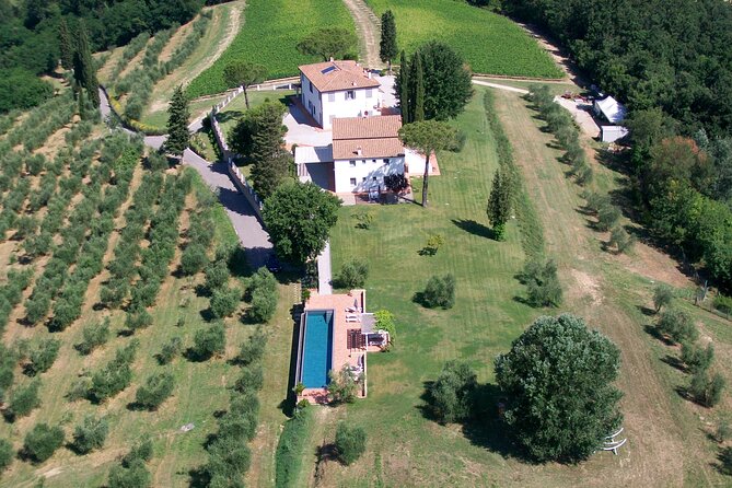 Farm To table Experience on an organic hilltop estate in Tuscany - From Florence Santa Maria Novella to San Miniato