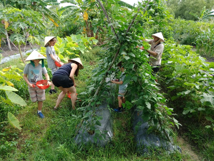 Farm-To-Table Healthy Cooking Class: Half-Day Tour - Eating what you prepared