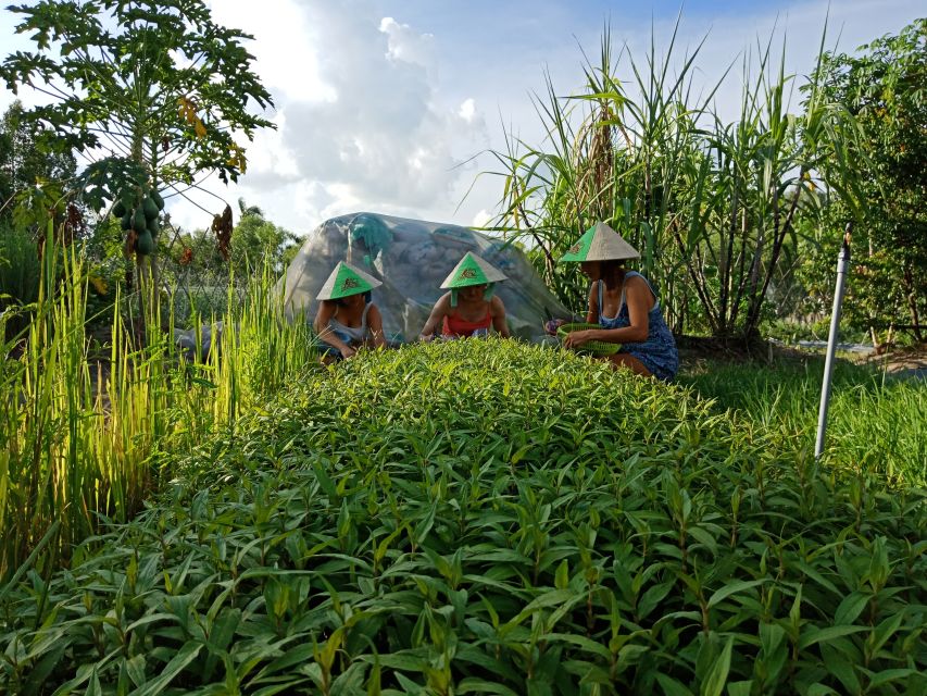 Farm-To-Table Healthy Cooking Class: Half-Day Tour - Walking through the medicine garden