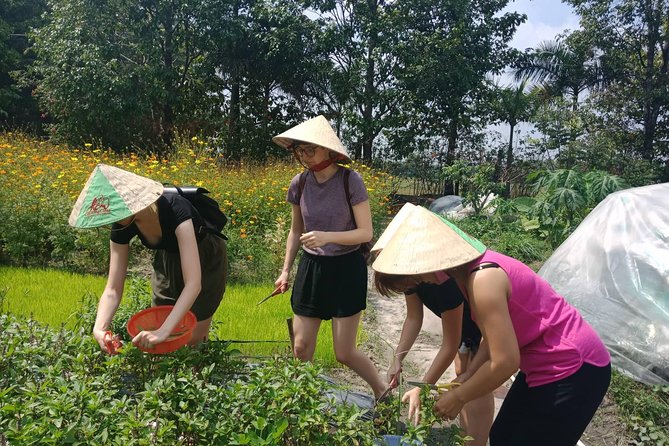 Farm-To-Table Healthy Cooking Class in Ho Chi Minh City - Cooking four dishes with the chef