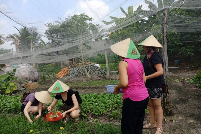 Farm-To-Table Healthy Cooking Class in Ho Chi Minh City - Tasting as you go