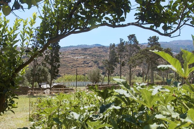 Farm to Table - Local Cooking Experience - Starting at noon in Chora