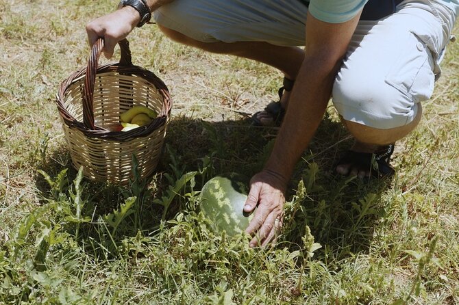 Farm to Table - Local Cooking Experience - Photos and recipes to take home