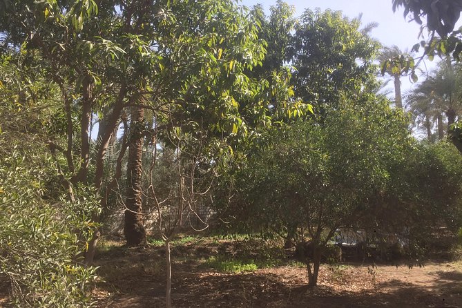 Farm-To-Table Tour With An Adventure To Bent & Red Pyramids - Is $70 a fair price?