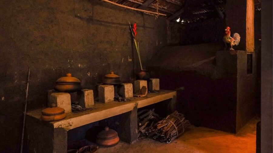 Farm to Table: With a local farmer family - Chaas, snacks, and a meal under the neem tree
