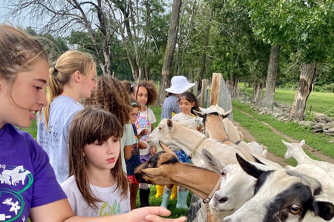 Farm Tour at Clover Brooke Llama/Alpaca/Goat Farm - What the one-hour route is like