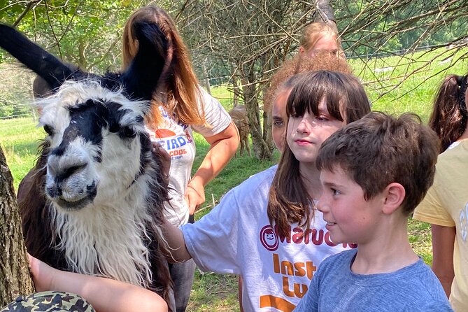 Farm Tour at Clover Brooke Llama/Alpaca/Goat Farm - Is $21.50 a fair price?