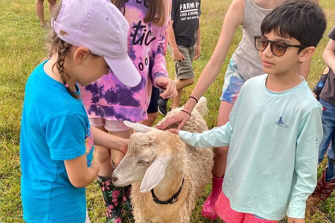 Farm Tour at Clover Brooke Llama/Alpaca/Goat Farm - Weather, timing, and practical planning