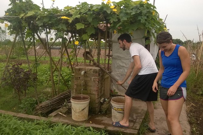 Farm tour & Home cooking class with local family in Hanoi - Walking through vegetable fields near Hanoi