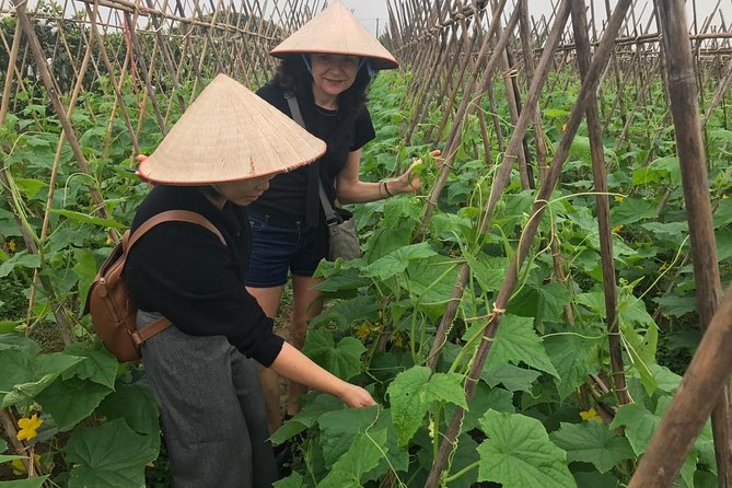 Farm tour & Home cooking class with local family in Hanoi - Cooking four dishes with Mandy