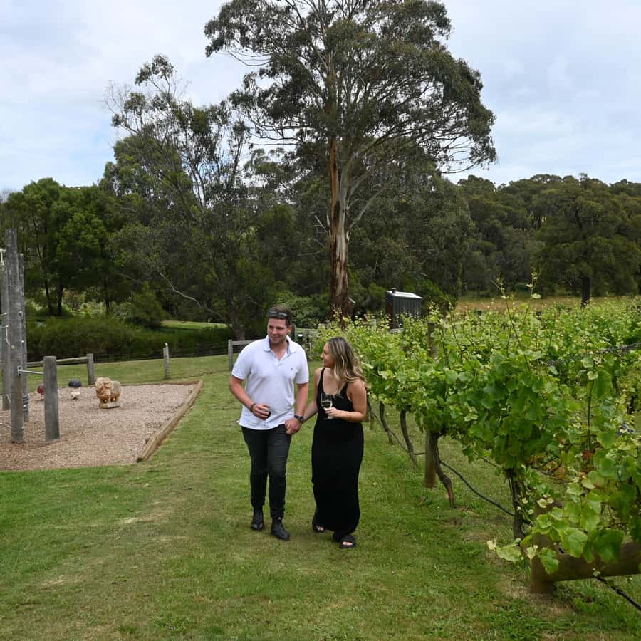 Farmers Lunch - Food and Wine for 2 - What arrives for two people