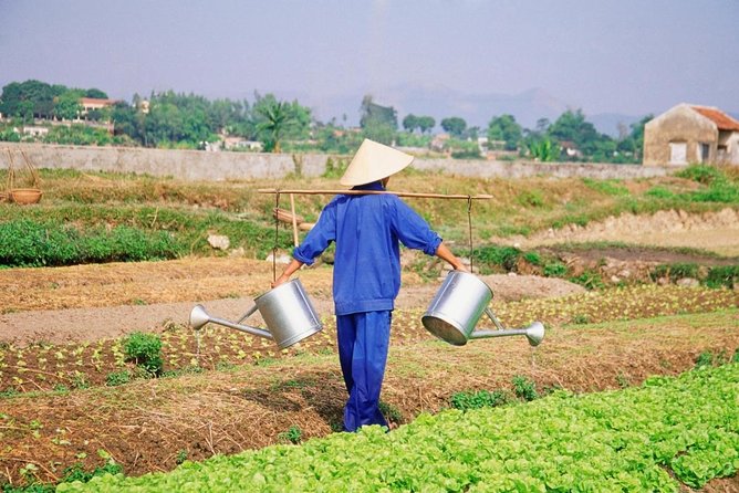 Farming & Cooking Class in Hoi An - Small Group Tour - Key points to know before booking