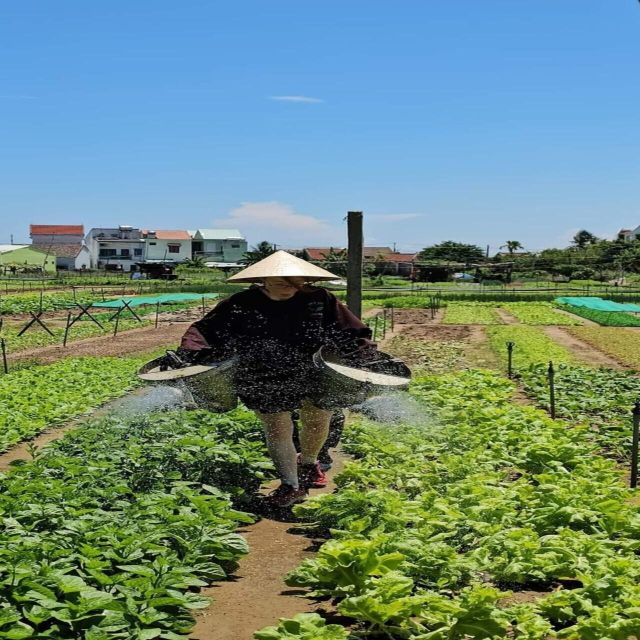 Farming - Local Market - Cooking Class In Tra Que Vegetable - Four dishes, one practical cooking lesson