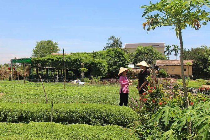 Farming with the Local Famers - Massage and lunch at the end