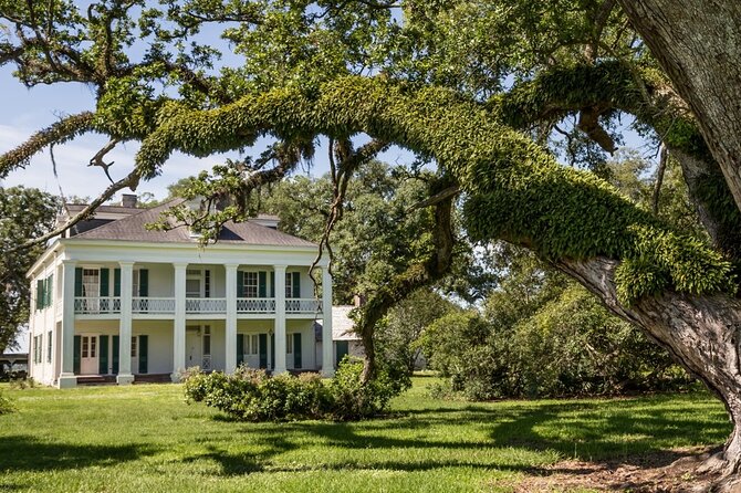 Felicity Plantation Tour - What Felicity Plantation helps you understand