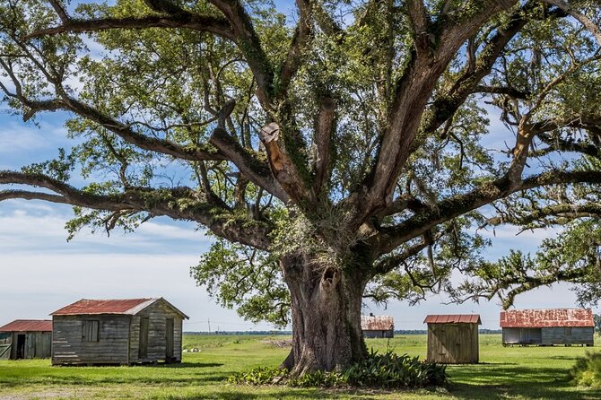 Felicity Plantation Tour - The stories of enslaved people