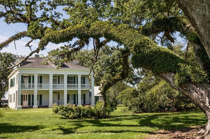 Felicity Plantation Tour - How the $24 price measures up
