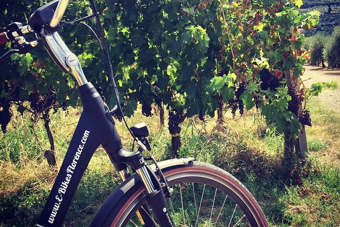 Fiesole: Tuscan Countryside Half Day E-Bike Tour & Farm visit - The Via degli Dei and the road experience