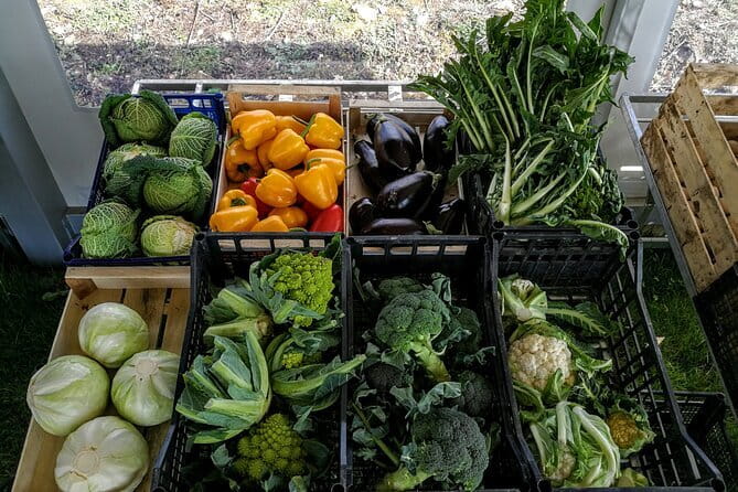 Fiesole: Tuscan Countryside Half Day E-Bike Tour & Farm visit - What Giovanni and Massimiliano add to the day