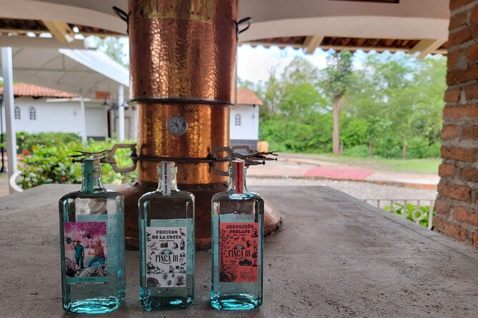 Finca 18 Puerto Vallarta Tequila Tour + Chocolate Pairing - Walking through 12 acres of agave country