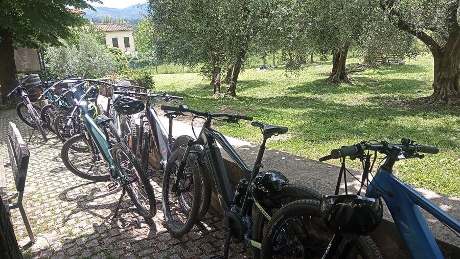 Florence: Country Ebike tour + Wine tasting in organic farm - Is the Florence e-bike and wine tour worth booking?