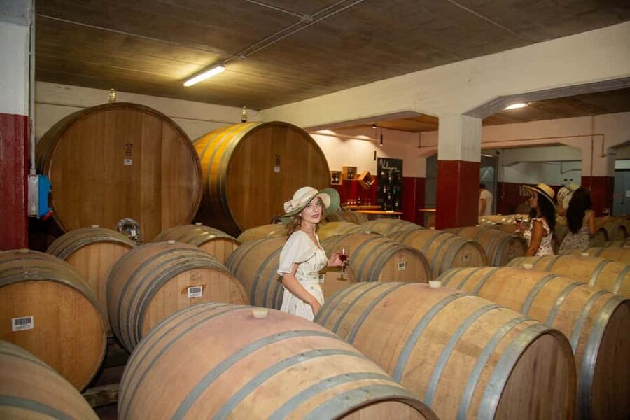 Florence: The secret of wine, cheese and olive oil at a farm - Key points to know before booking